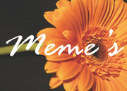 Meme's Florist & Gifts Meme's Florist & Gifts